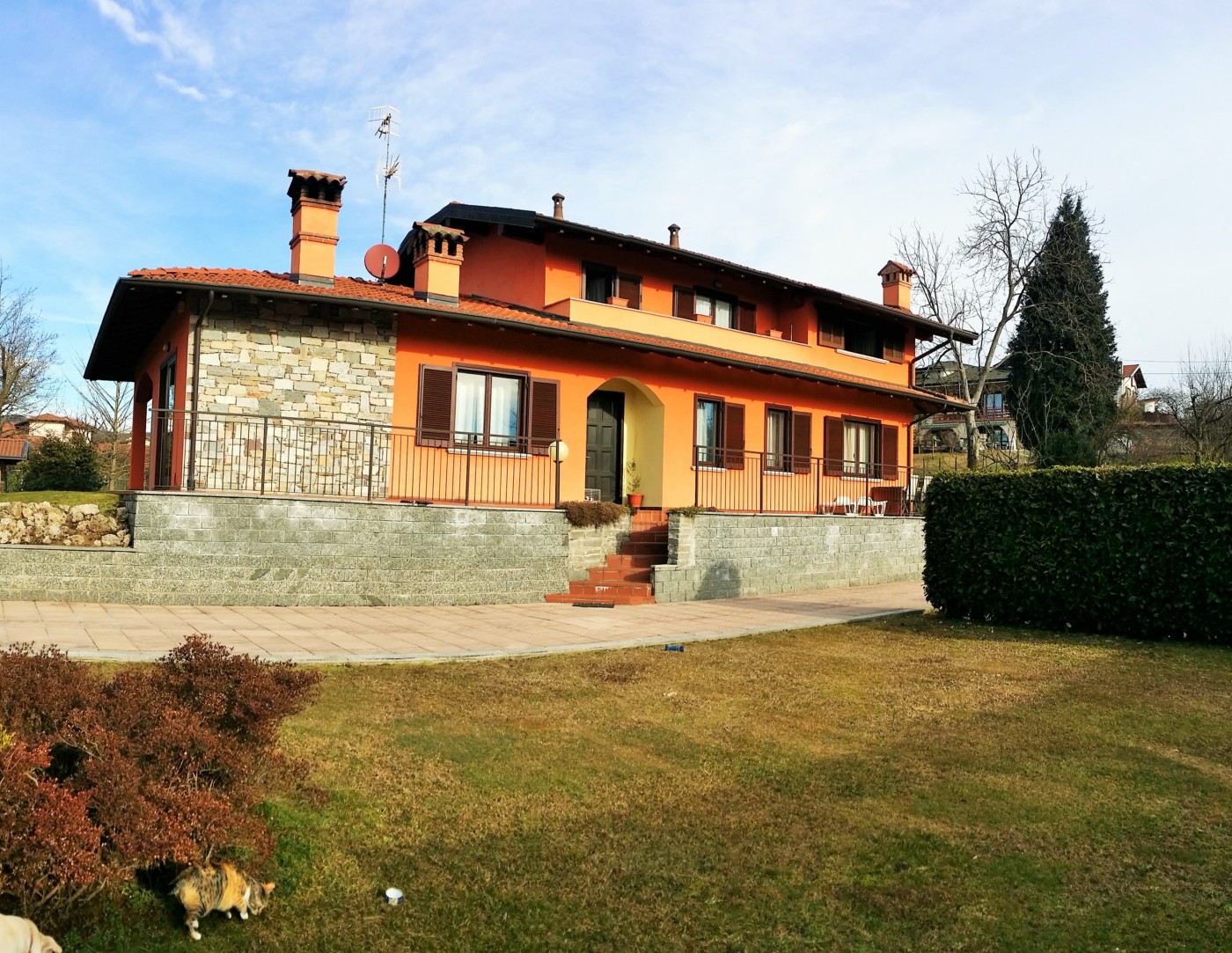PROMOZIONI E PROGETTI - codice: 10204