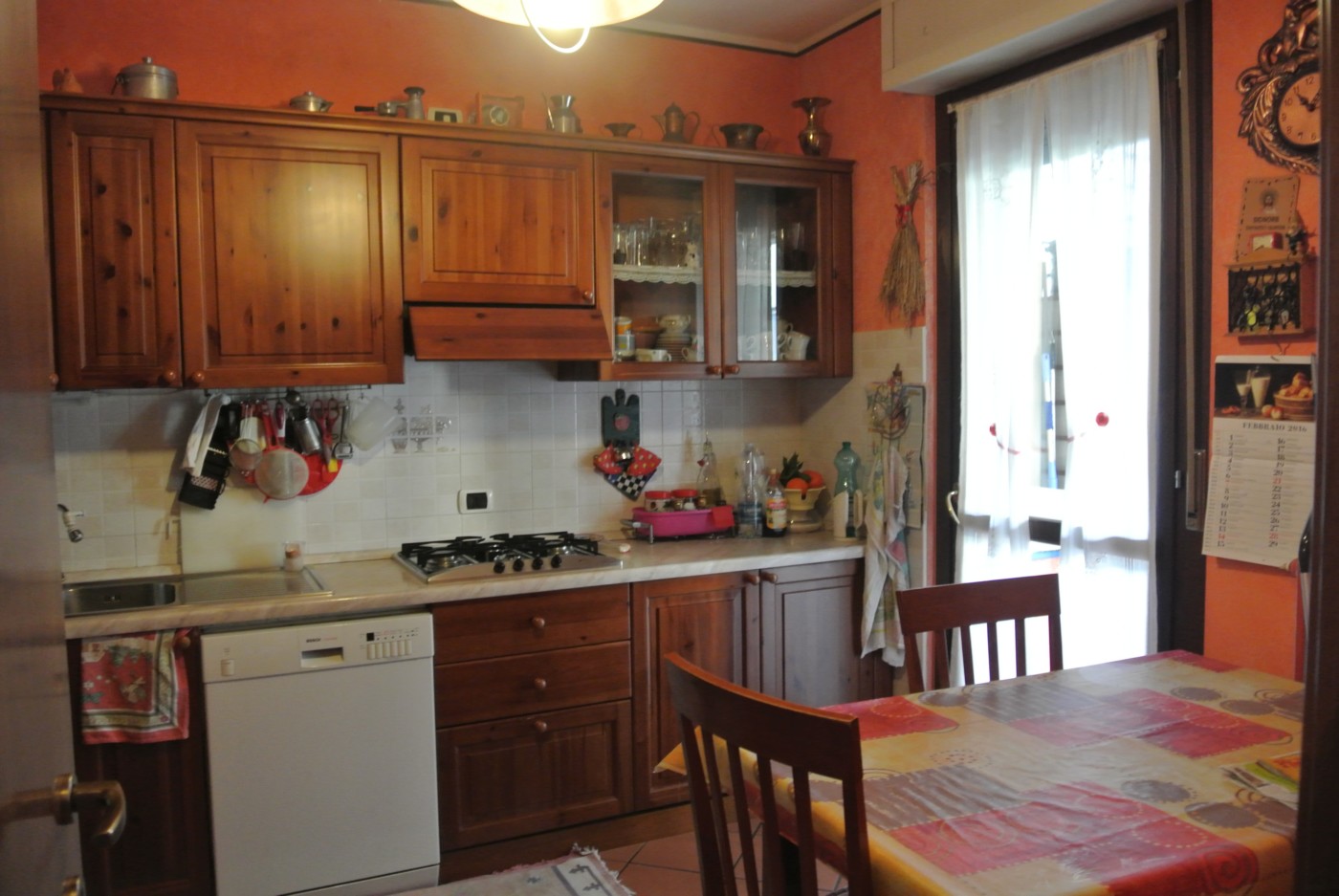 PROMOZIONI E PROGETTI - codice: 10256